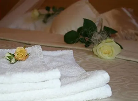 Steve Hotel 3*