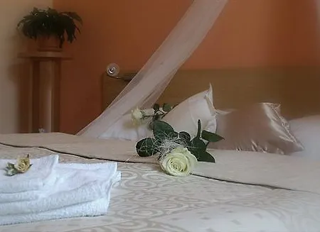 Steve Hotel