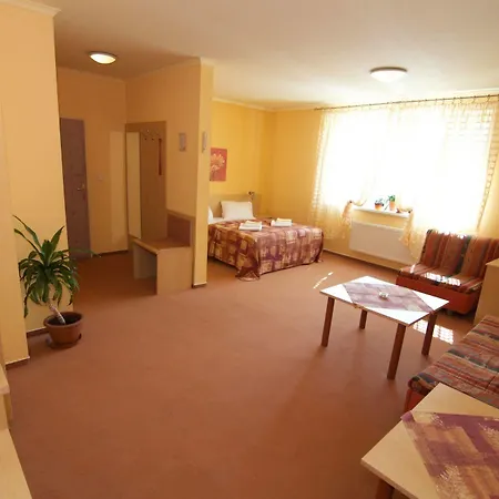 Hotel Steve 3*
