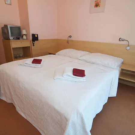City Steve Hotel